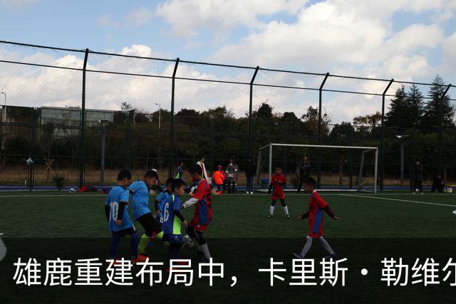 雄鹿重建布局中，卡里斯·勒维尔或面临被裁命运